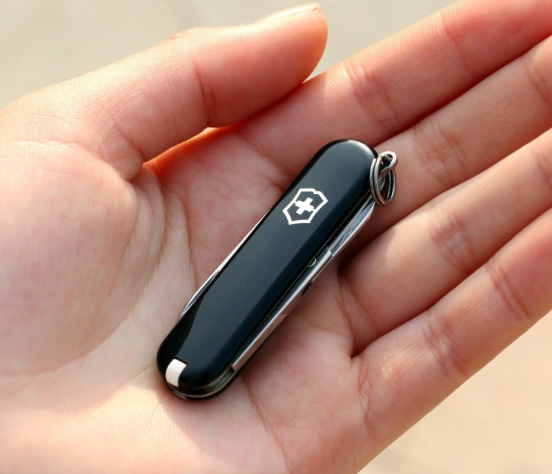 Victorinox 0.6223.3G