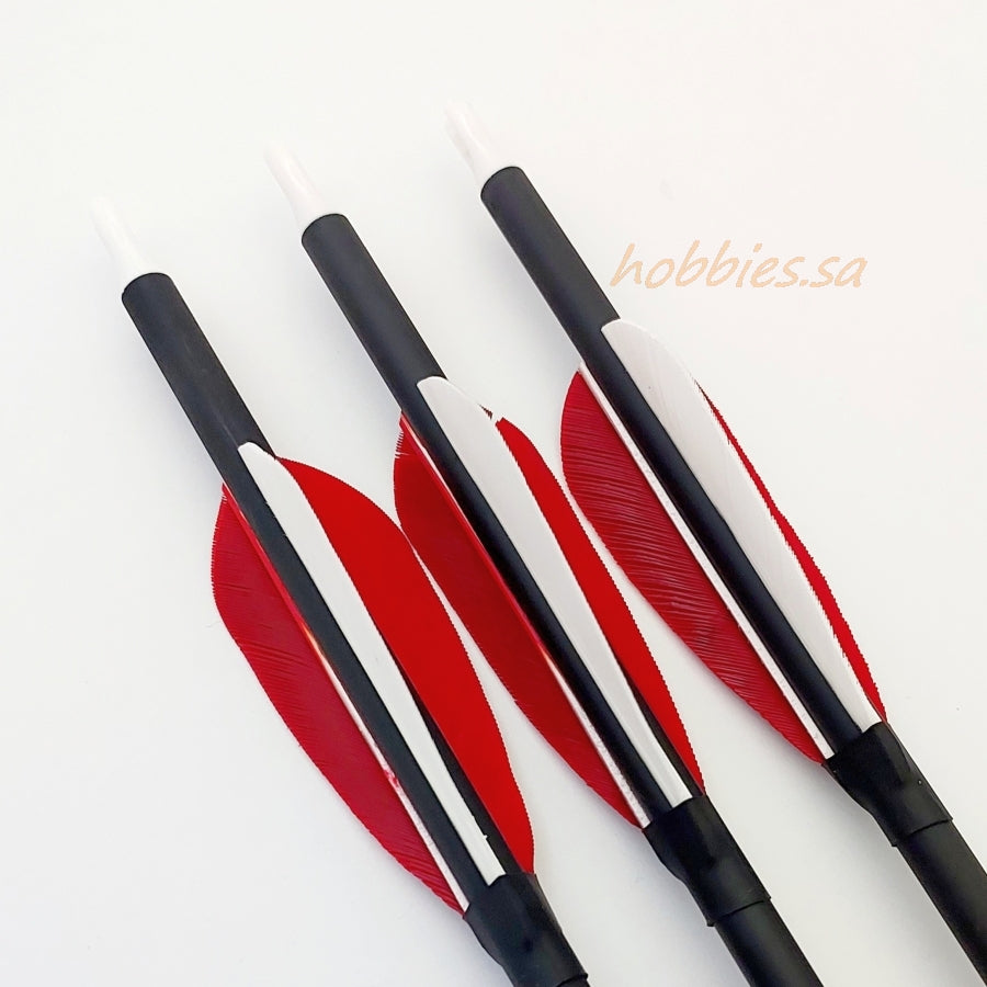 6.2 Mixed Carbon Arrows أسهم