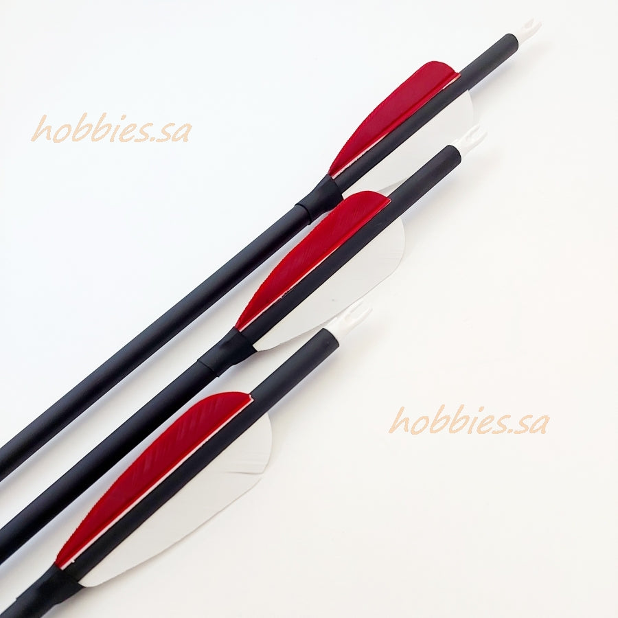 6.2 Mixed Carbon Arrows أسهم