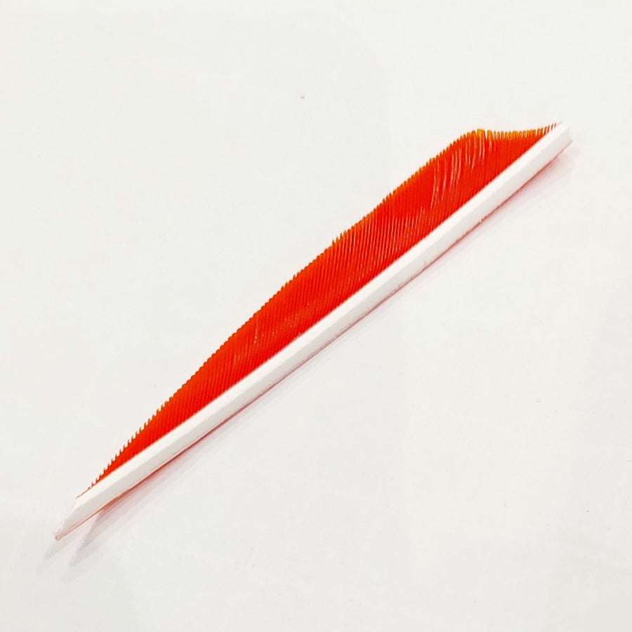 Shocq 3" Feather أجنحة