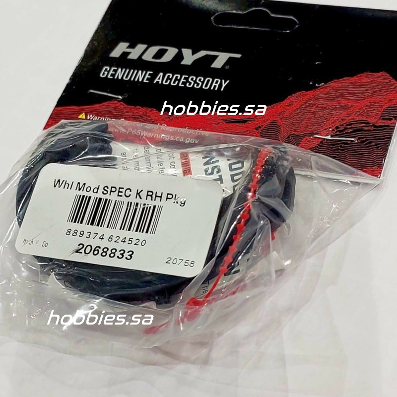 Hoyt Modules SPEC
