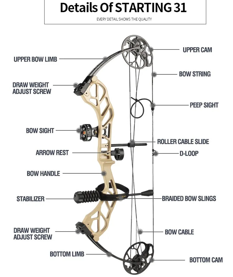 Topoint Starting 31 Kit