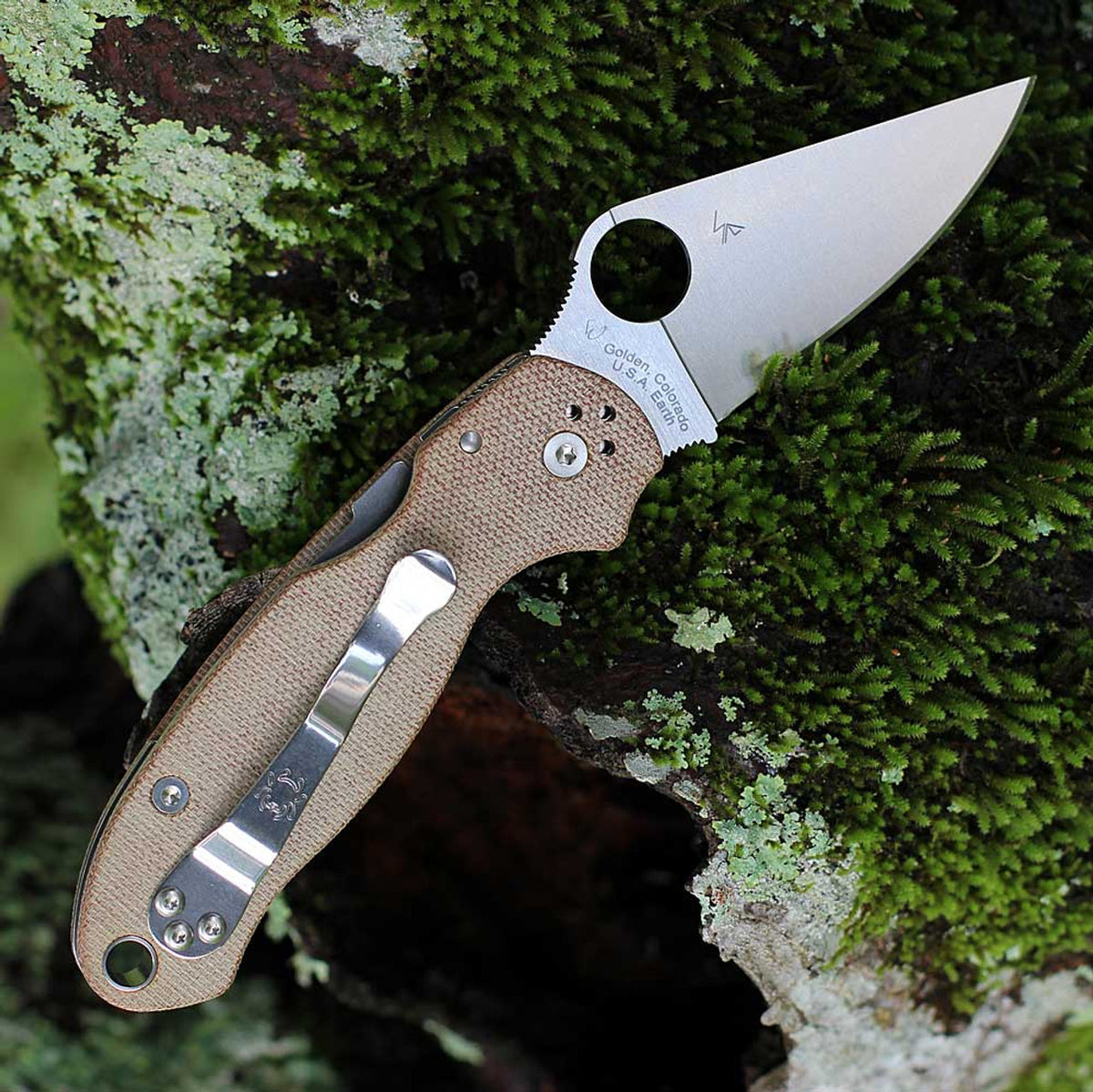Spyderco Para 3 CruWear سكين
