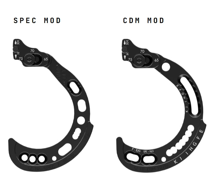 Hoyt Modules SPEC