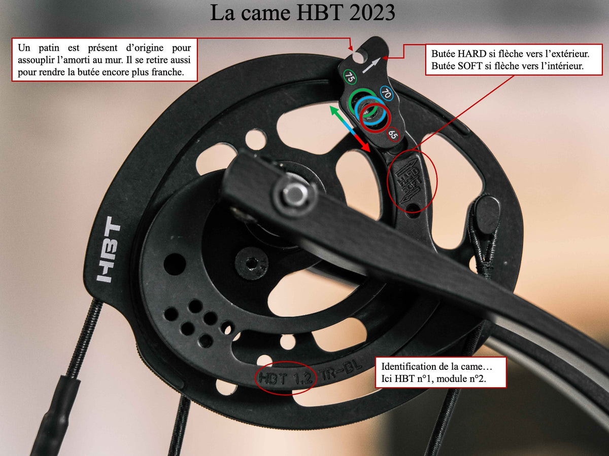 Hoyt Altus HBT Bow قوس