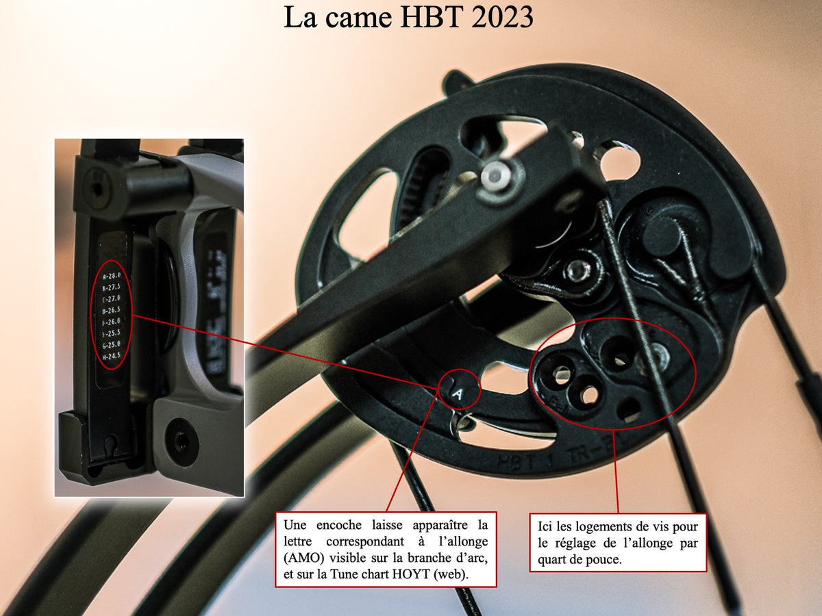 Hoyt Altus HBT Bow قوس