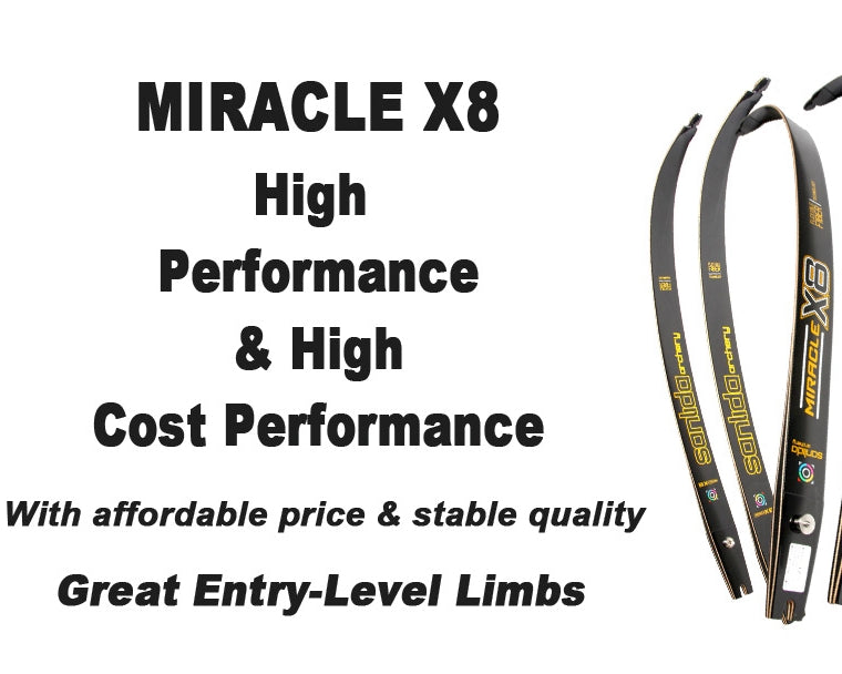 SANLIDA ILF Miracle X8 Limbs