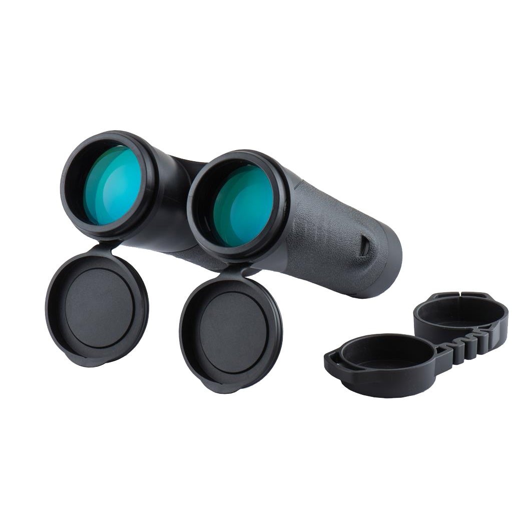 Avalon 10x42 Binocular دربيل