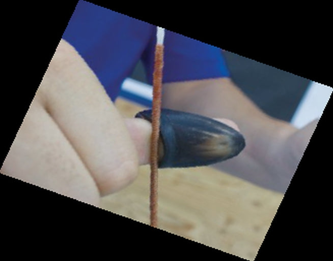 FREDDIE Thumb Ring واقي ابهام