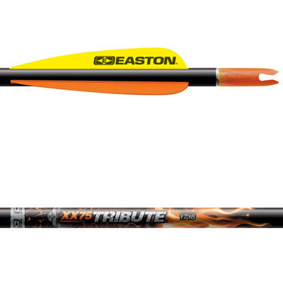 Easton Arrows TRIBUTE أسهم