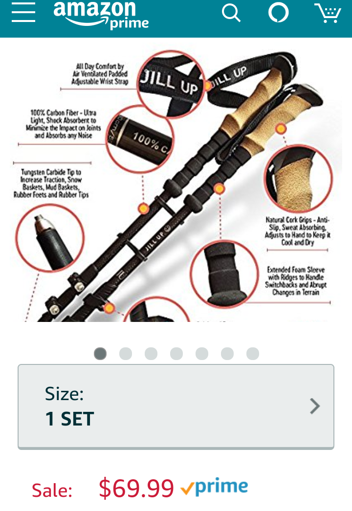 Hiking Pole Carbon