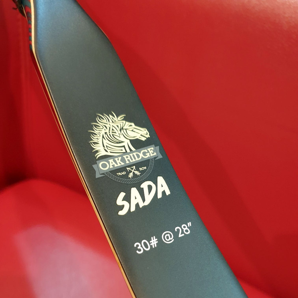 Oak Ridge SADA Bow قوس تقليدي