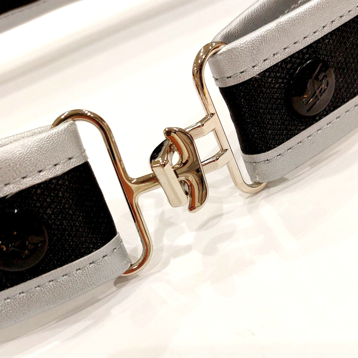 SF Quiver Pro Elite Belt