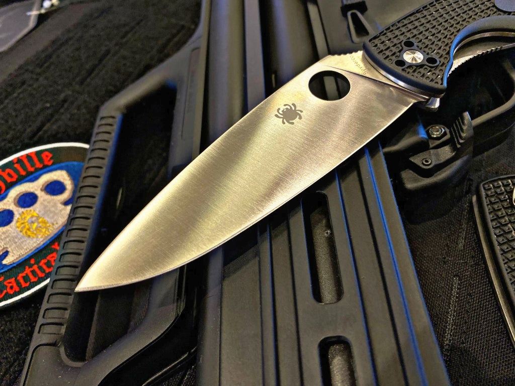 Spyderco Resilience FRN C142PBK