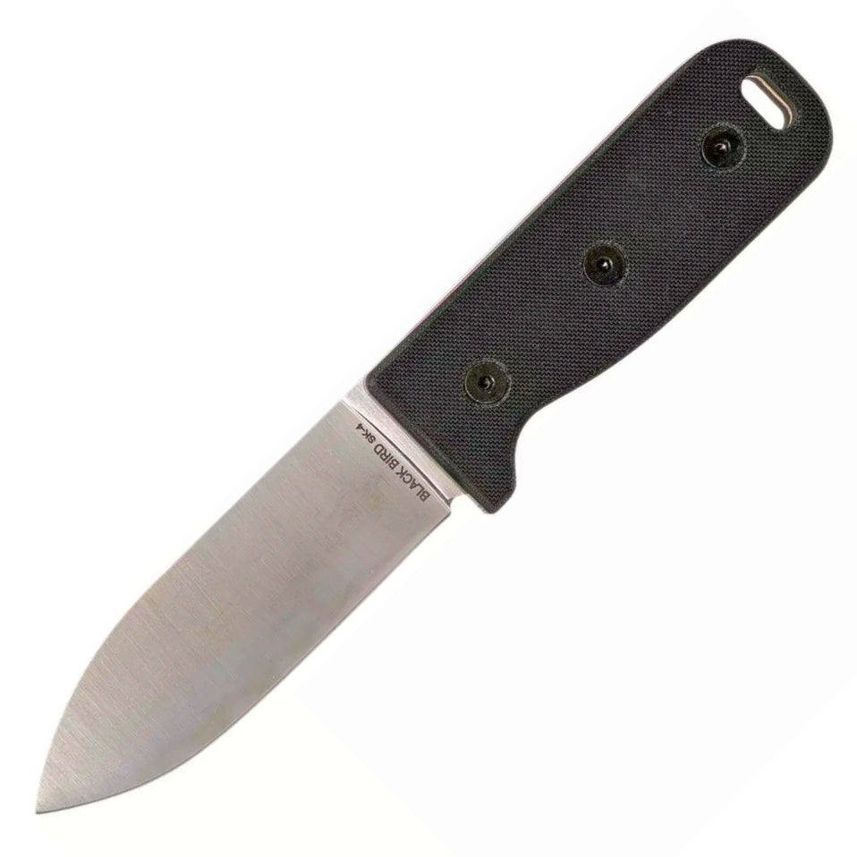 Ontario Black Bird SK4