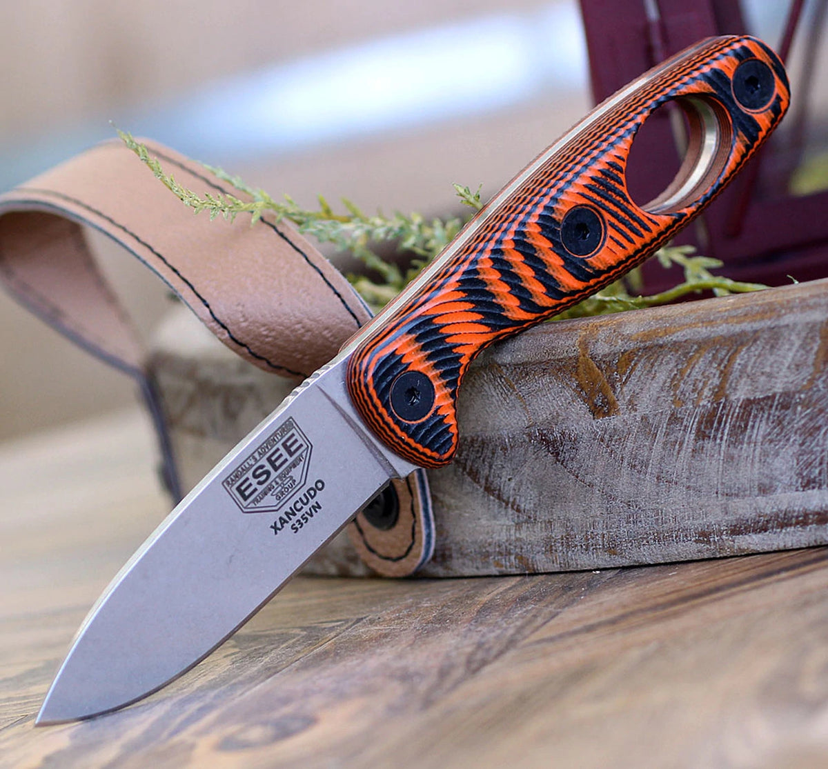ESEE Xancudo