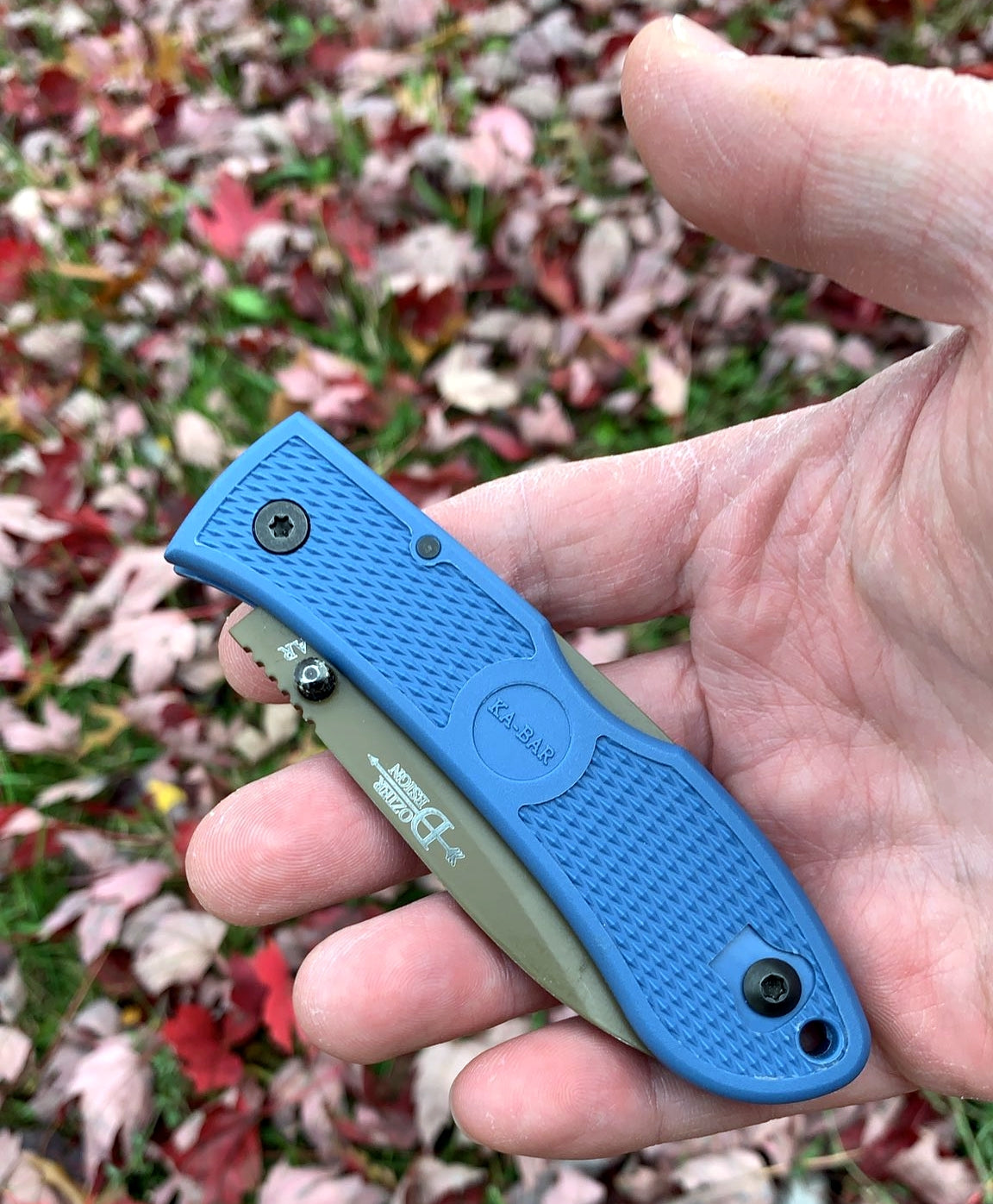 KABAR 4062D2 Dozier D2