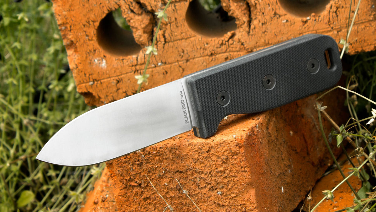 Ontario Black Bird SK4