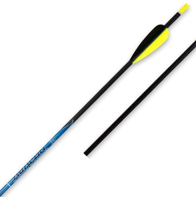 Avalon Classic Arrows أسهم