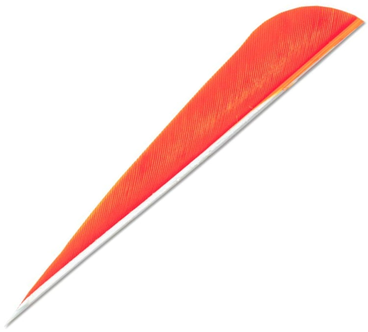 SKYLON Feather 4" أجنحة ريش