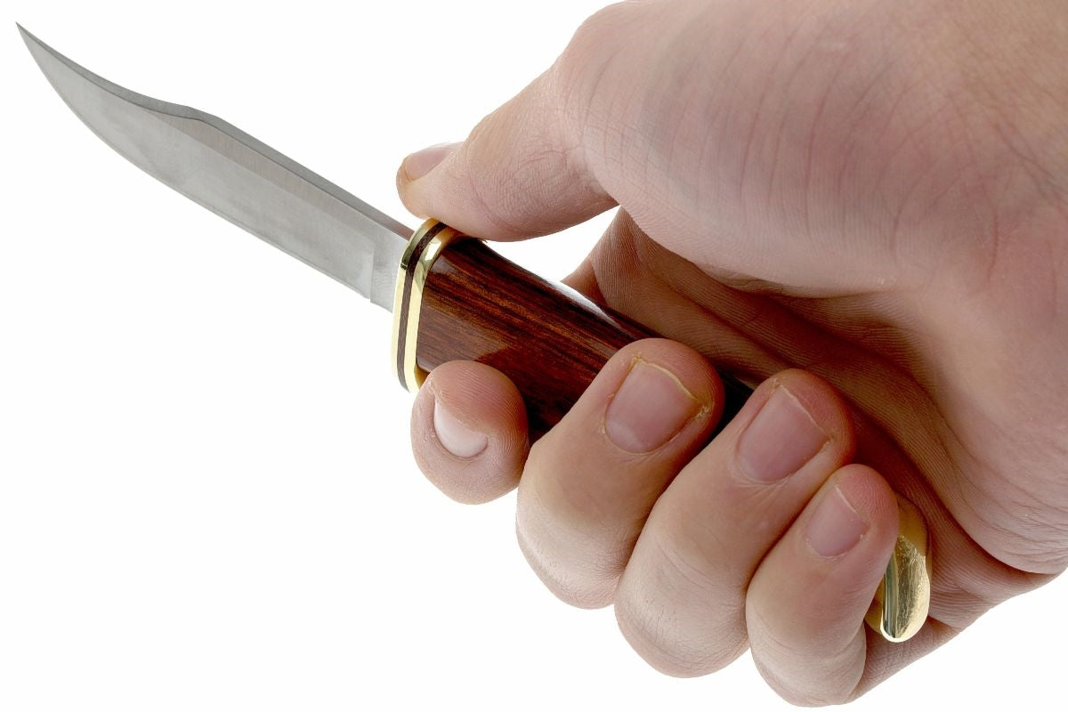 Buck 102 Woodsman Cocobolo