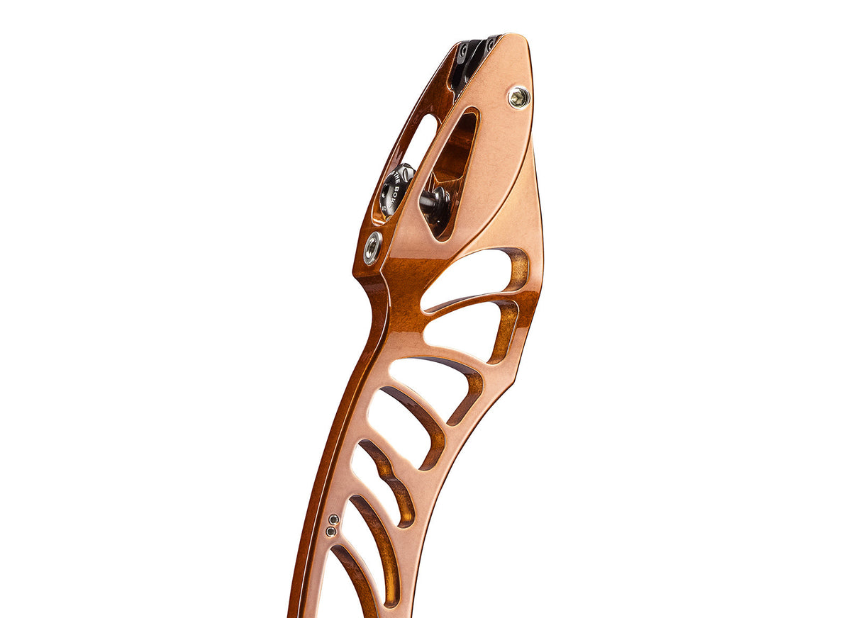 HOYT Xceed Grand Prix ILF Riser مقبض قوس