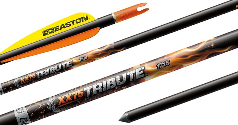 Easton Arrows TRIBUTE أسهم