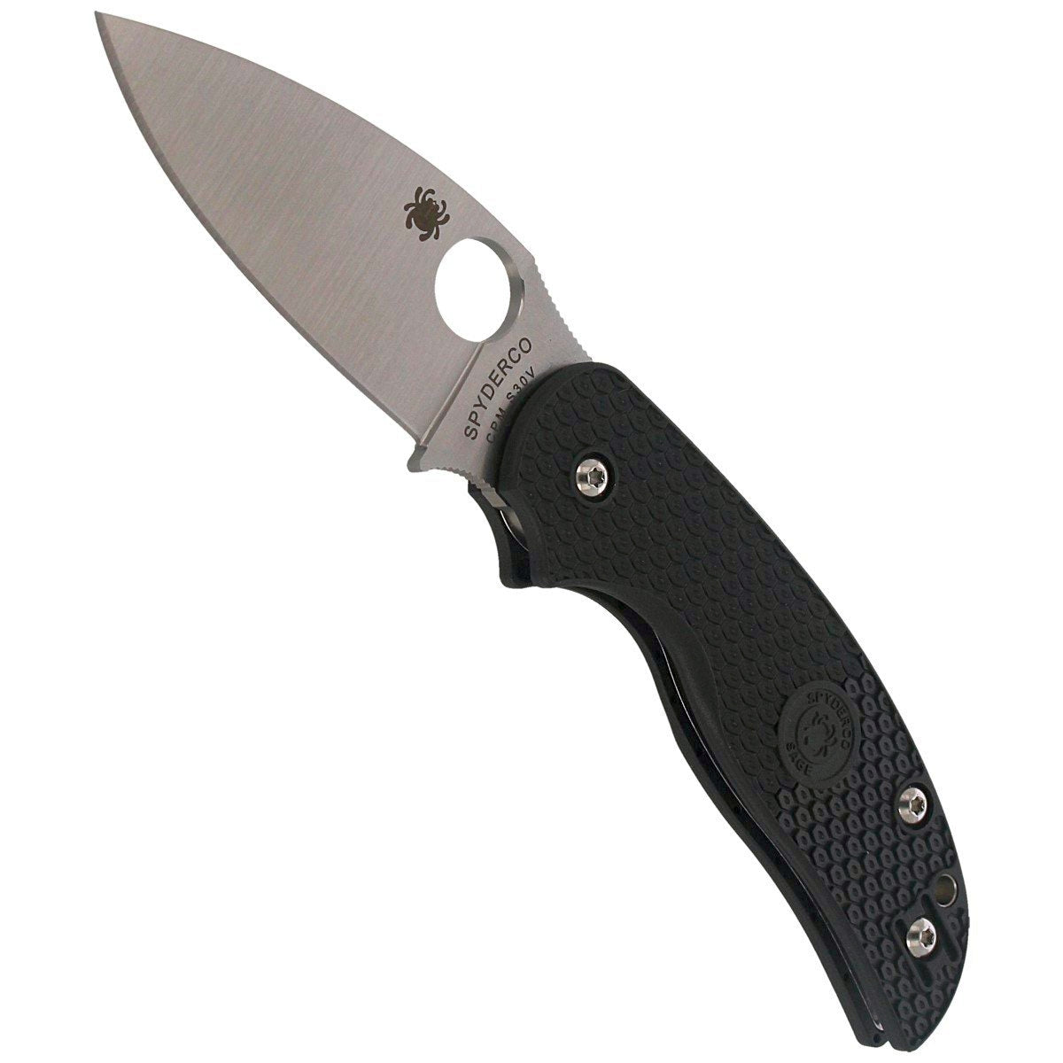 Spyderco Sage 5 FRN