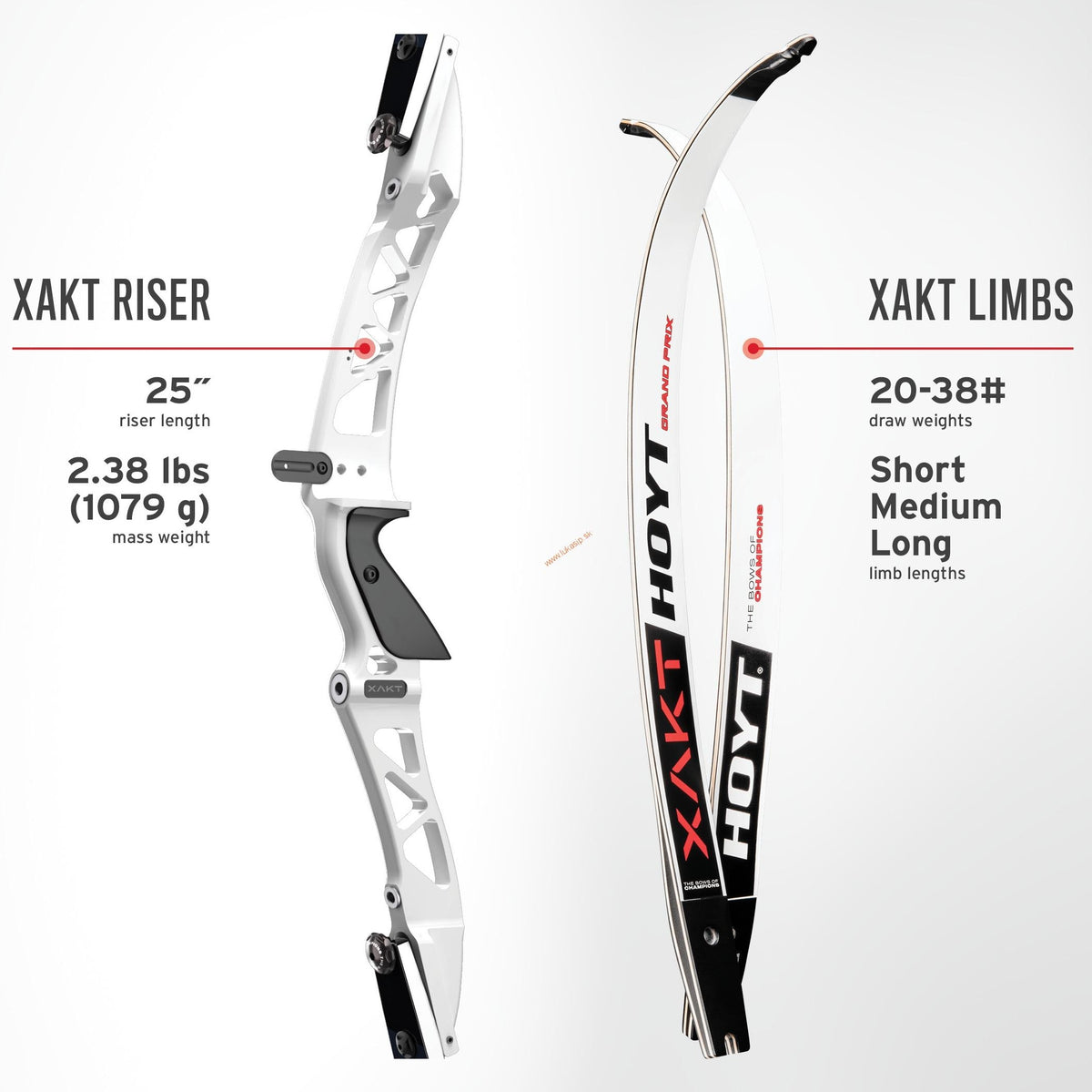 HOYT Xakt ILF Limbs