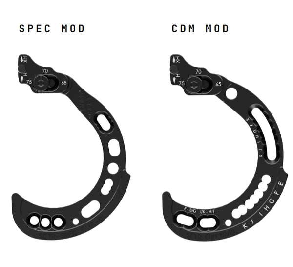 Hoyt Modules SPEC