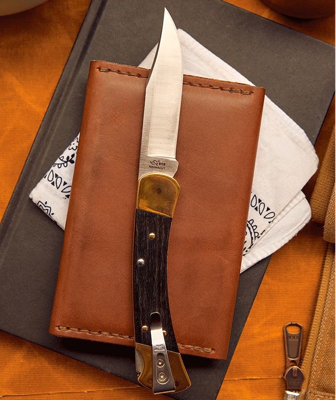 Buck 0110BRS19 سكين