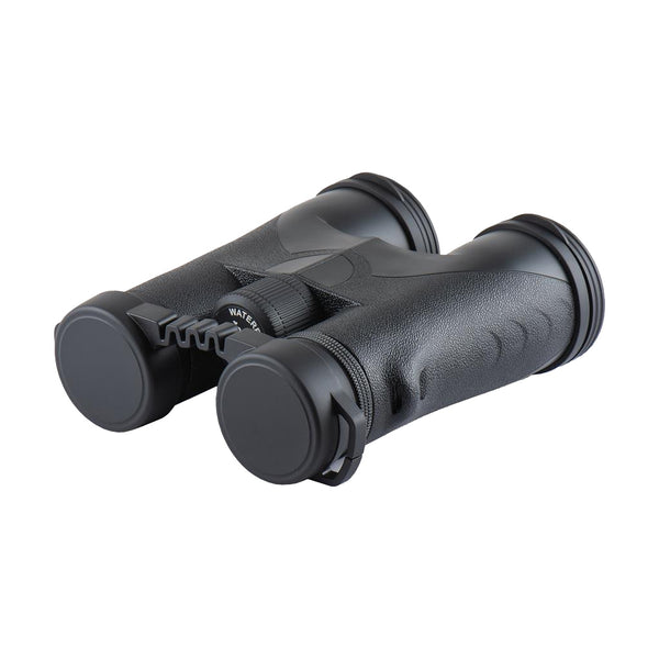 Avalon 10x42 Binocular دربيل