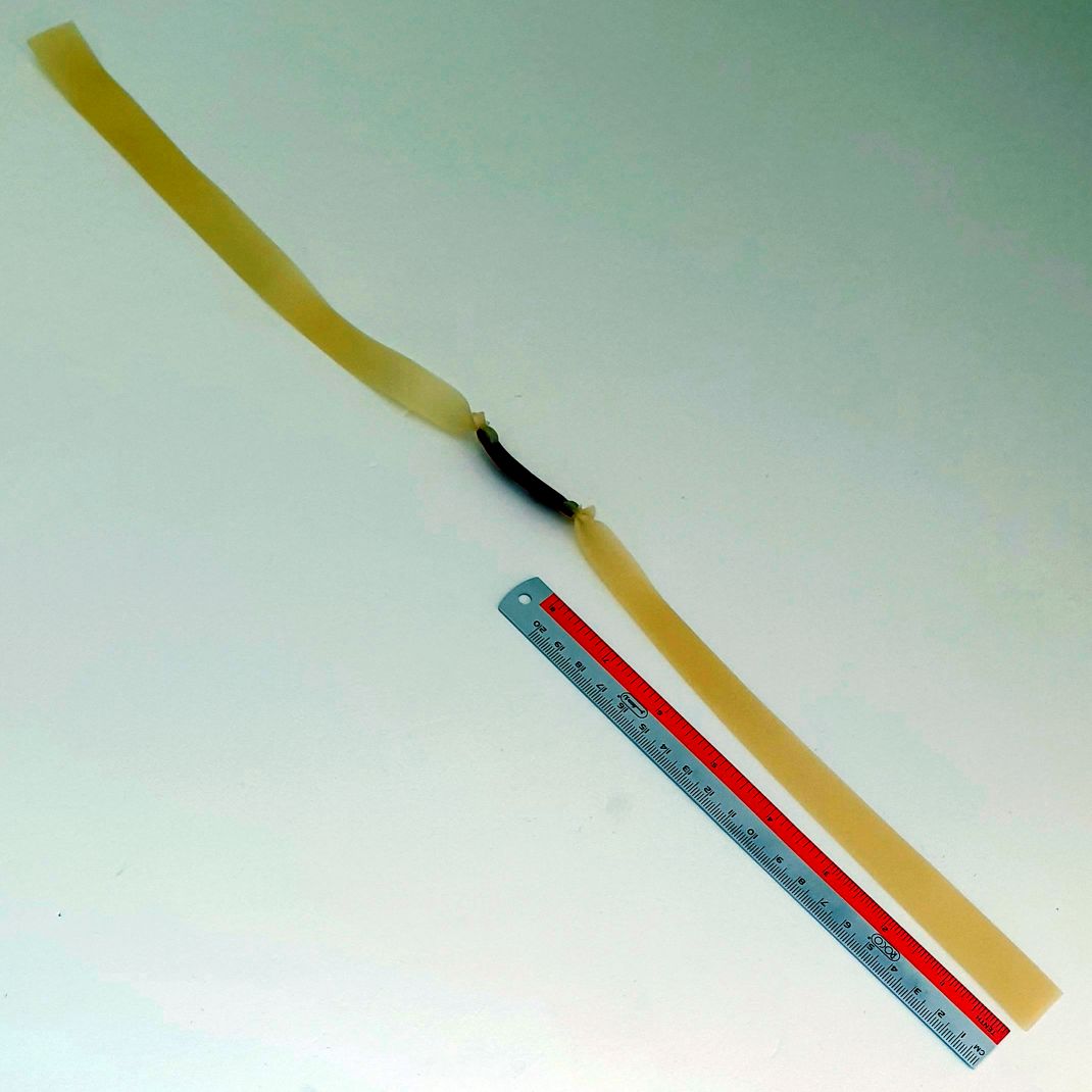 Slingshot Rubber Band