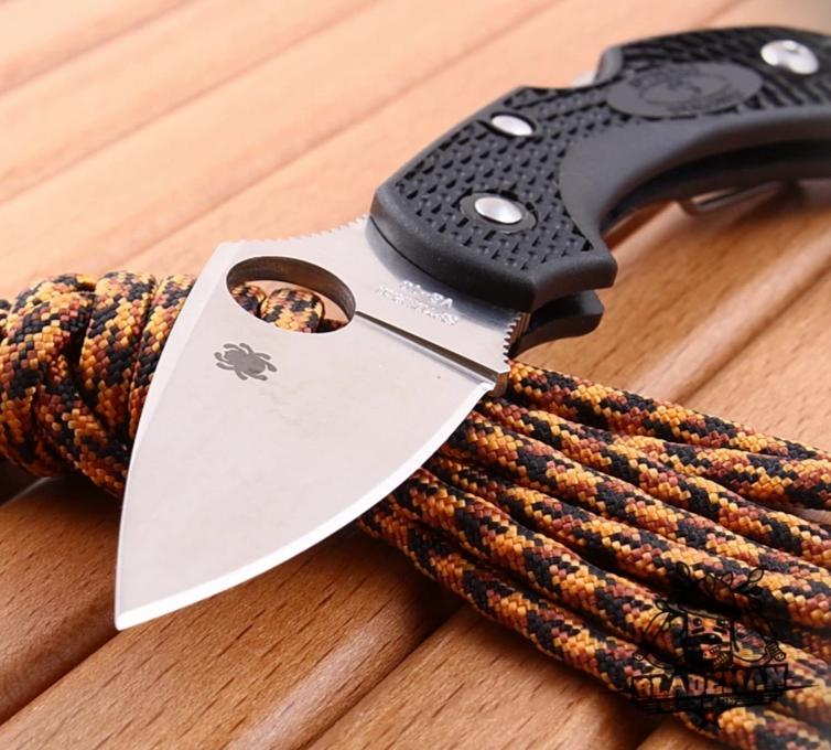 Spyderco Dragonfly 2 Black